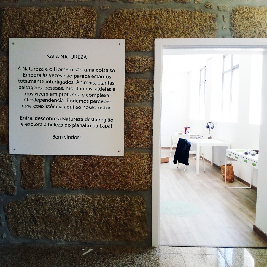 Lapa - 4