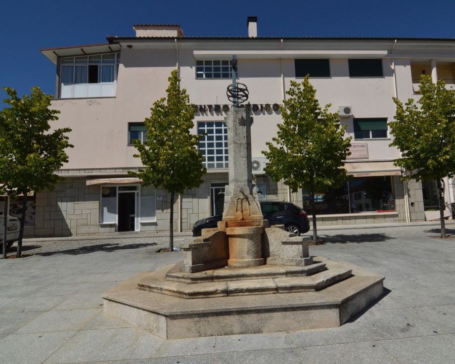 nucleo1